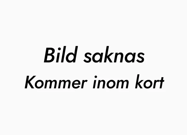 Inläggs bild saknas